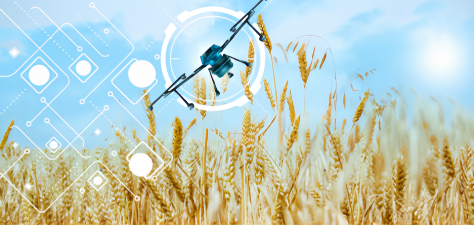 23fdab04b6b4186e66abbcf485d65f3 23fdab04b6b4186e66abbcf485d65f3