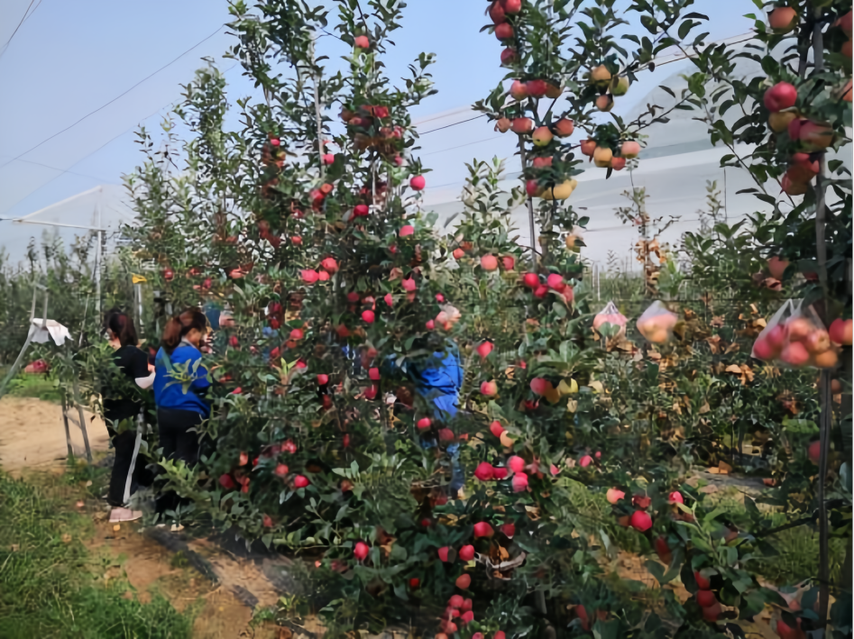 7b3d54bfc7f5d79b8d1115d57664461 7b3d54bfc7f5d79b8d1115d57664461