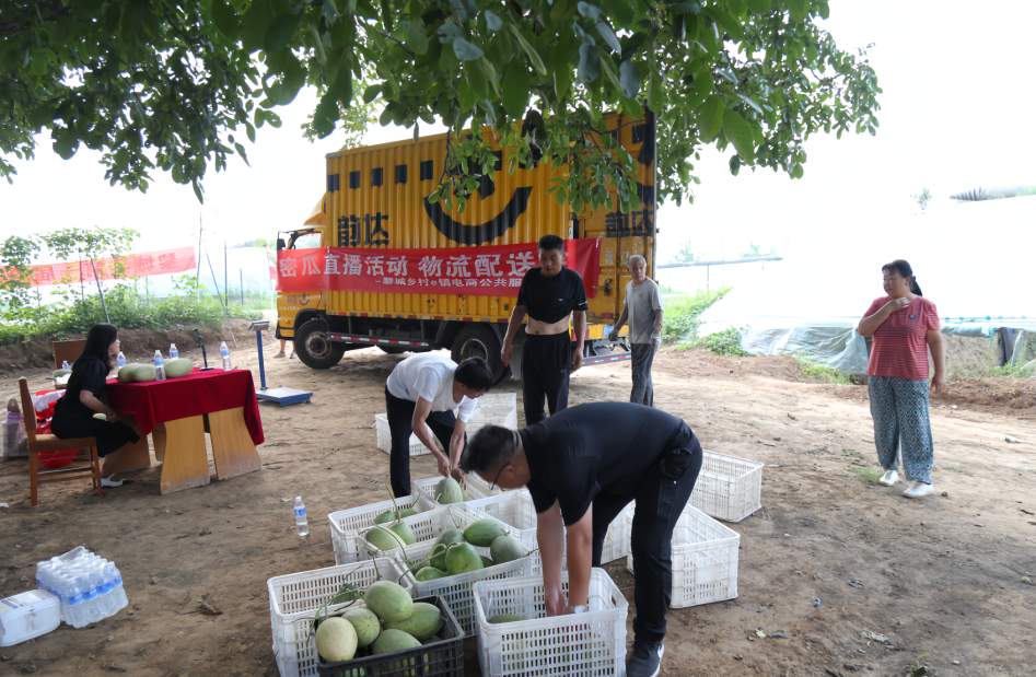 f4899c3c7bc6236c78331a90c6f5039