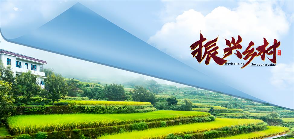 微信图片_20230908115810 微信图片_20230908115810