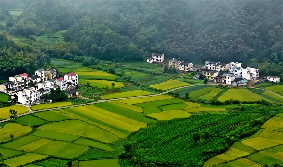 947e0166156c7f4090bb17f03b6d4be 947e0166156c7f4090bb17f03b6d4be